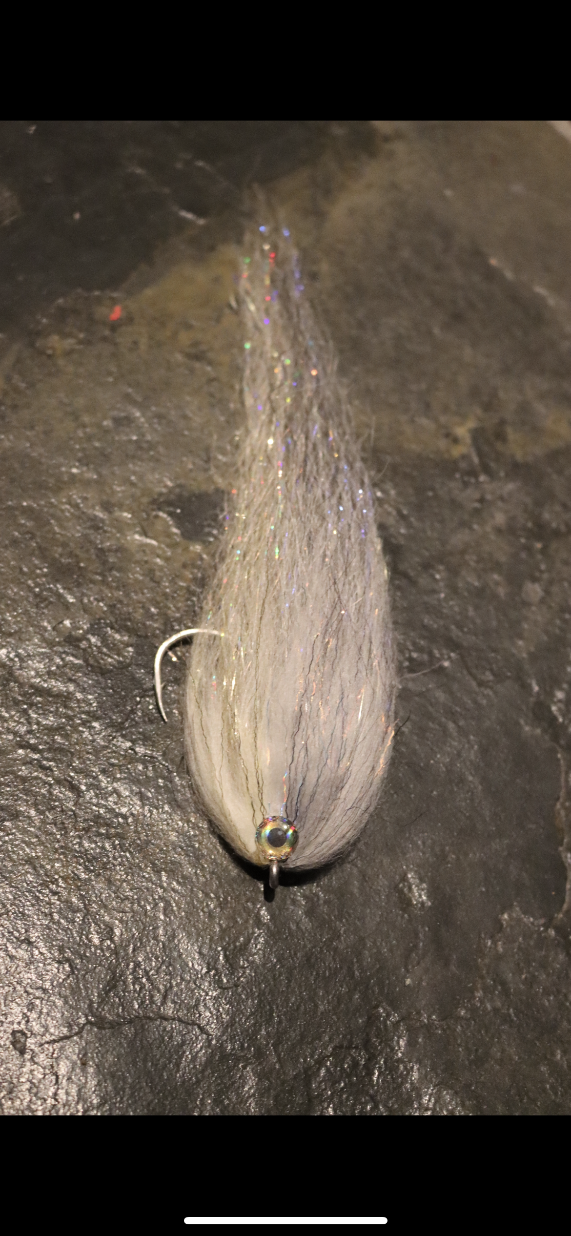 Big game baitfish